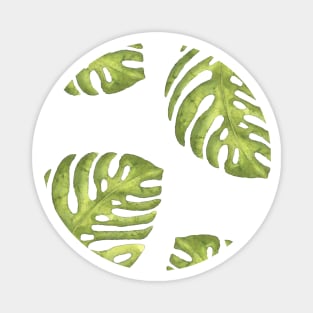 Watercolor Monstera Leaves Magnet